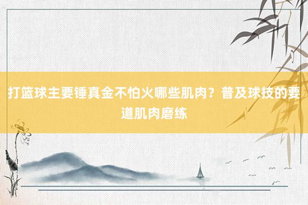 打篮球主要锤真金不怕火哪些肌肉？普及球技的要道肌肉磨练